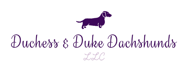 Duchess & Duke Dachshunds LLC | "My Site"