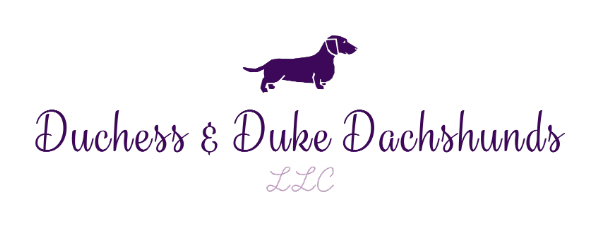 Duchess & Duke Dachshunds LLC | "My Site"