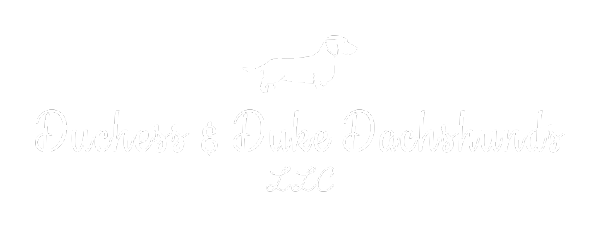 Duchess & Duke Dachshunds LLC